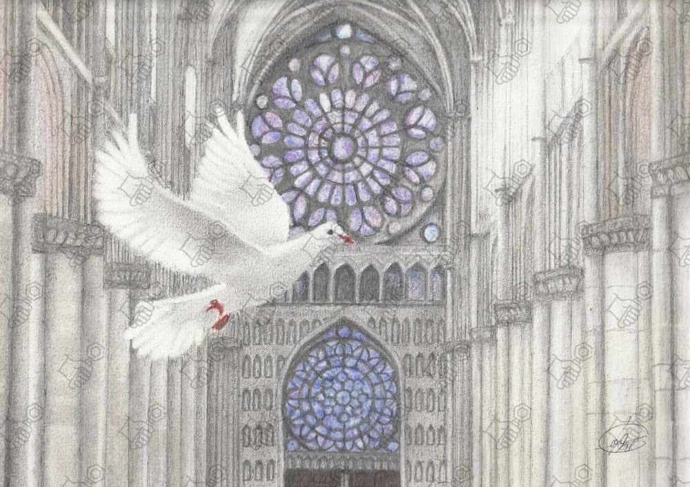 Colombe à la cathédrale. Pastel sec et crayon graphite sur support 24 x 32, Canson 224 g/m2